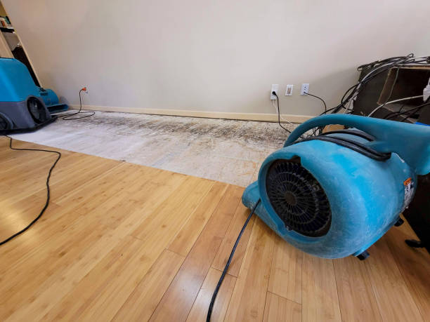 Professional Water Damage Repair technician working in Talking Rock, GA